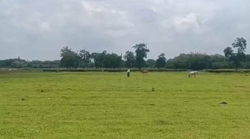 बिहार:ठाकुरगंज में सैन्य स्टेशन के लिए भूमि अधिग्रहण में बड़ी चूक, जांच शुरू; रिपोर्ट सौंपने का निर्देश – Major Lapse In Land Acquisition For Military Station Probe Initiated; Directive Issued To Submit Report.